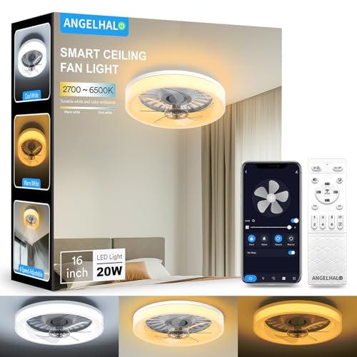 Bladeless Ceiling Fan with Light