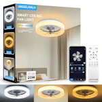 Bladeless Ceiling Fan with Light