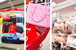 Hanes men's tees, Bogg Bags, and women's bras
