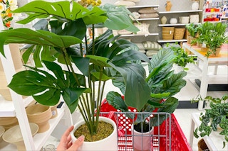 threshold faux plants target 2022 1 1654783700 1654783700