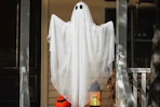 wayfair halloween