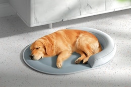 Cooling Dog Bed, Only $19.99 on Amazon (Reg. $39.99) card image