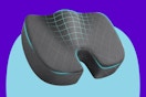 TushGuard Seat Cushion on a blue background.