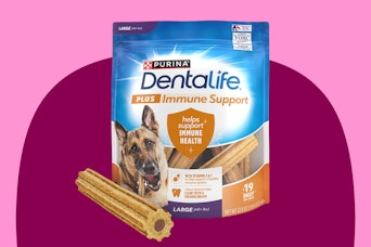 DentaLife Plus Dog Treats (1)