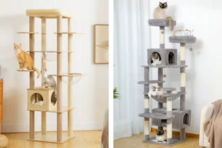AliExpress Cat Towers