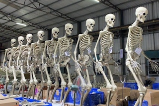 Some giant Home Depot skeletons standing in a line