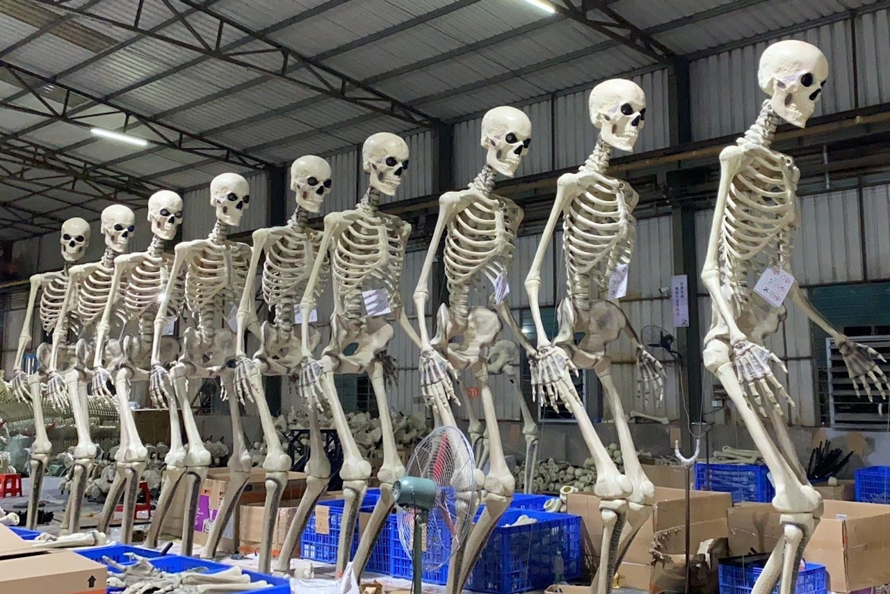 Extra Large Skeleton Where To Buy a Giant Skeleton Under $299 - The Krazy Coupon Lady
