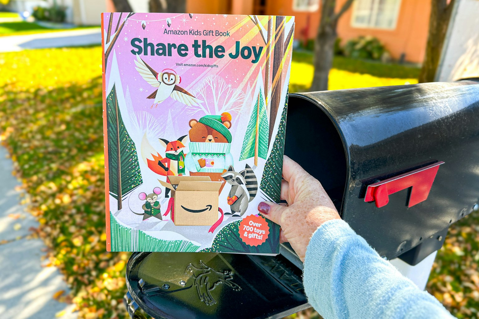 Amazon Toy Catalog 2025 How to Order It Free Online Next Year The