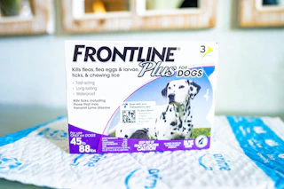 a hand putting tick and flea medicine on a dog