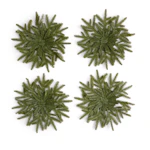 Greenery Pine Charger