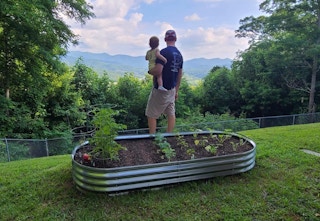 garden bed on ground