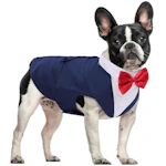 Dog Tuxedo