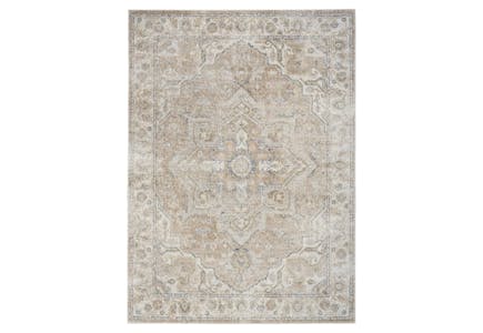 Nourison Area Rug