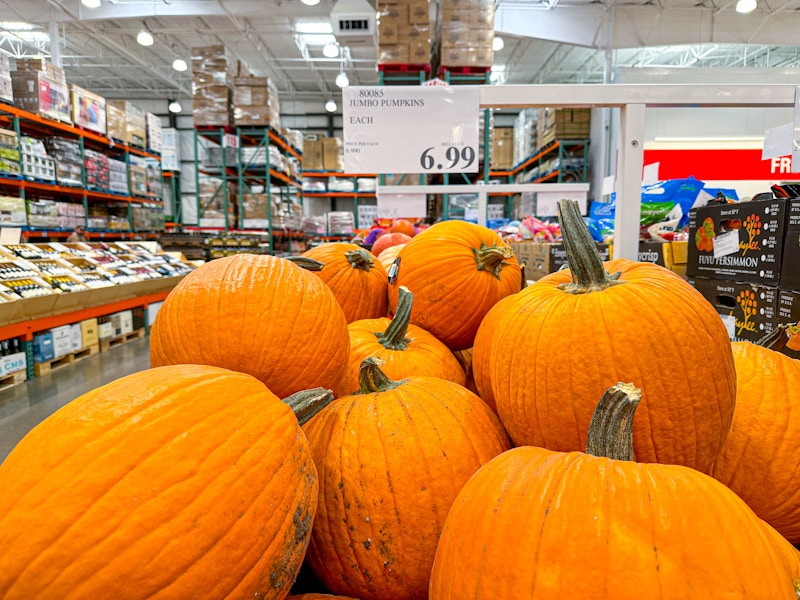 costco-pumpkins-prices-kcl-3