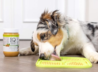 amazon hype pet pads 2023 1 1674567519 1674567520