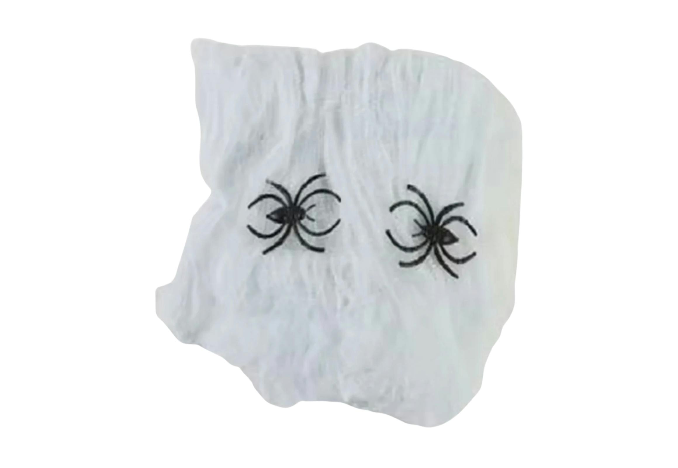 Halloween Spider Web
