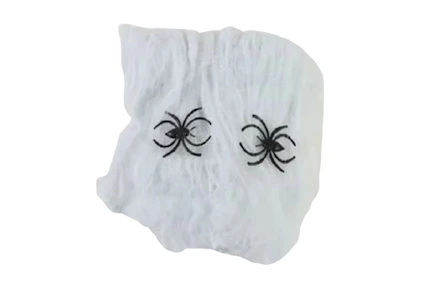 Halloween Spider Web