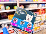 Cesar dog food variety pack in Walmart shopping cart