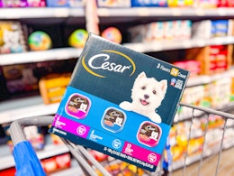 Cesar dog food variety pack in Walmart shopping cart