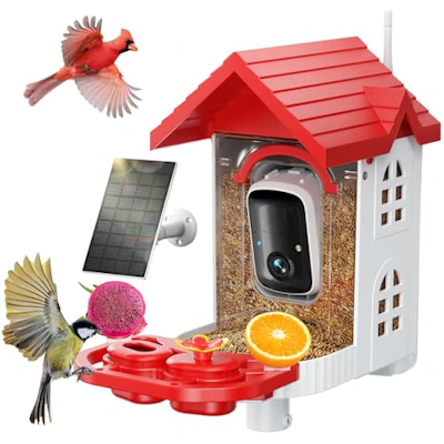 Bird Feeder with Camera