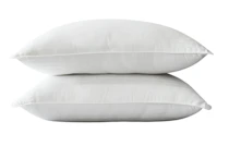 Linens & Hutch Pillow Set