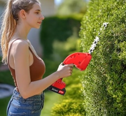 Mini Cordless Hedge Trimmer, Just $32.99 on Amazon card image