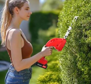 a person using a mini hedge trimmer on some hedges