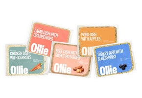 Ollie Full Fresh Dog Food Plan