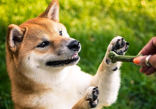 amazon minties dental chews 2022 2 1666273715 1666273715