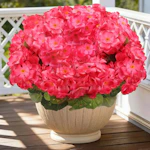 Artificial Geranium Flowers