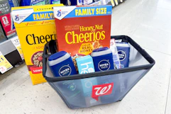 walgreens groceries in shopping basket