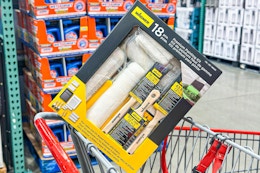 costco-wagner-paint-kit