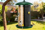 amazon bird feeder