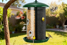amazon bird feeder