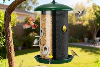 amazon bird feeder