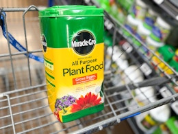 miracle gro walmart