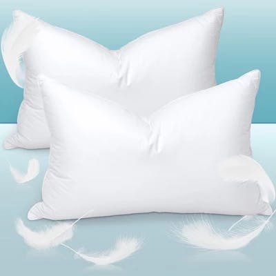 Goose Down Pillows