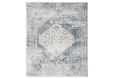 Nourison Area Rug