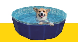 fivebelow dog popup pool 1684330784 1684330784
