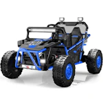 Electric Ride On Car