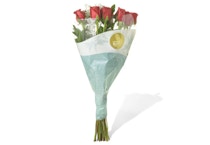 One Dozen Premium Roses