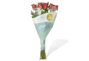 One Dozen Premium Roses