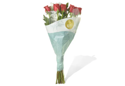One Dozen Premium Roses