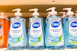 dial antibacterial hand soap sitting on a store shelf