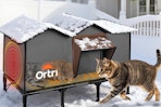 heated cat house