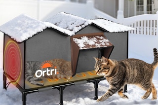 heated cat house
