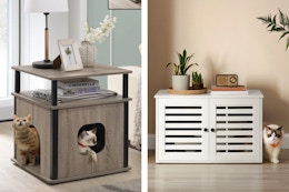 Cat Litter Box Enclosures Are as Low as $35 at Wayfair card image