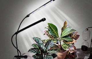 two grow lights over a plant