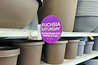 fred-meyer-fuchsia-saturday-free-potting-event-kcl-2026-3