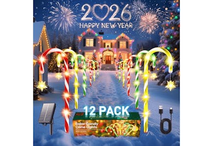 Solar Candy Cane Light Set